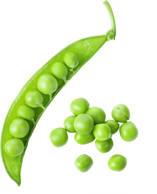 deco